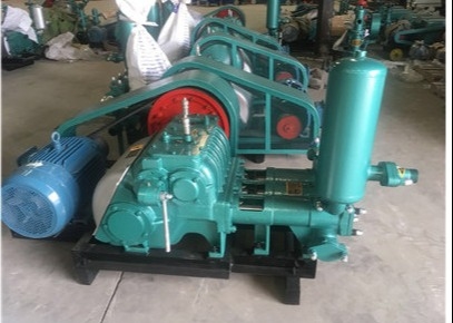 Einfachwirkende austauschende Spülschlamm-Pumpe Kolben BWs 250 horizontal
