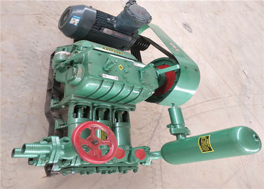 Doppelte verantwortliche austauschende Kolbenpumpe BWs 250 für Bohrloch-Bohrung