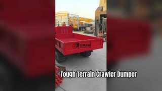 Tonnenkettentransporter für schwieriges Gelände