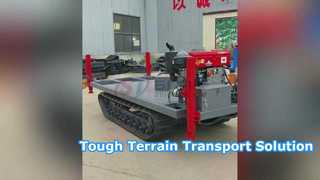 Easy Transport Raupenfahrwerk MT